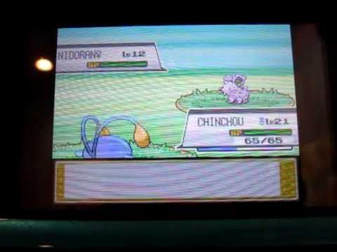 Nidoran