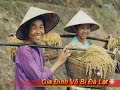 GDVBDL - T�nh ho�i h??ng (MINHDUNG)