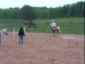 small course on filly small course on filly