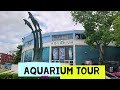Aquarium In Niagara Falls New York