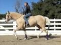 Riding Technique: The Basics of Posting