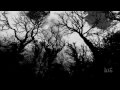 In My Last Mourning - Thy Light