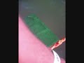 videos Wakeboard