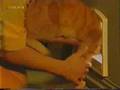 videos de stupid blonde woman