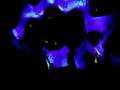 Summer Never Ends Festival 3 - part 7