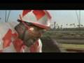 Horsin' Around With Shaq - vitaminwater Superbowl Ad