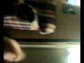 videos de Annie's excitement!. a poodle...