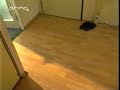 Zdenek Izer Uci psa chodit na zachod