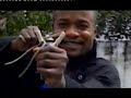 Koffi olomide - Loi