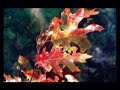sfarp-fallon.html