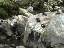 My vacation in New Zealand