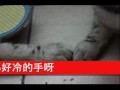 你那好冷的小手~~費玉清(原唱; 付歌詞)YOUR LITTLE COLD HANDS