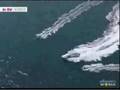 Police Boat Chases Greenpeace G8