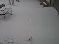 Nevada en orea