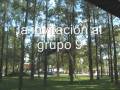 videos de  Actividades  Grupo Scout 104