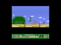 nes