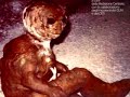 Alien Creature Alien Creature