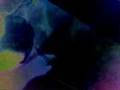 MMC Productions - Dog's Tail (Bobtail Edit) (Video)