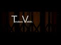 Teoría y Estética de los Medios - FADU - UBA.mp4
