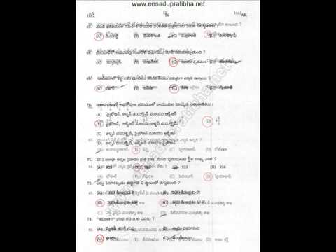 how to prepare rrb group d'exam