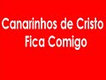 Canarinhos de Cristo - Fica Comigo.wmv Canarinhos de Cristo - Fica Comigo.wmv