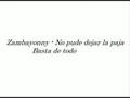 Zambayonny - No pude dejar la paja