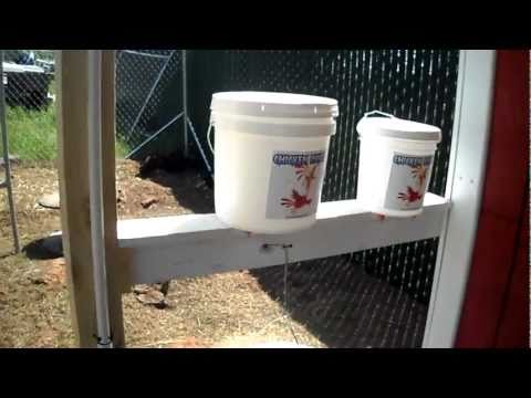  how to take care of chickens here s a mainstream homemade chicken door
