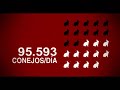 Espa�a 2004-2008. Conejos y Chisteras