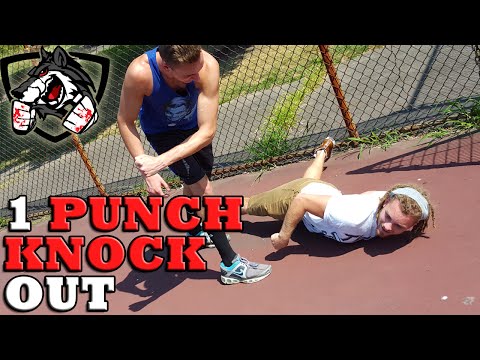 How to Knock Someone Out with One Punch