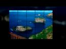 Norfolk Island Hotel Accommodation