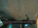 Portal - Portal Life speed run