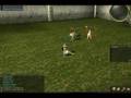 videos de Masters Of War - FireMyr Vs AirFox (Eventos PvP)