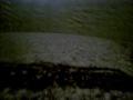 Nieve en Buenos Aires