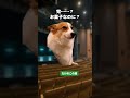 【1,058万票】お菓子のケンカが選挙になった日#猫ミーム #shorts