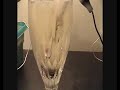 HIGH VOLTAGE SPARK CELL PT 2 HIGH VOLTAGE SPARK CELL PT 2