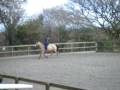 Barley riding at sunrising bodmin moors cornwall :)
