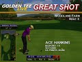 Golden Tee Great Shot on Woodland Farm! Golden Tee Great Shot on Woodland Farm!