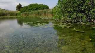 3en ja70la عين جاحولا المهجرة עין תאו ג'חולה