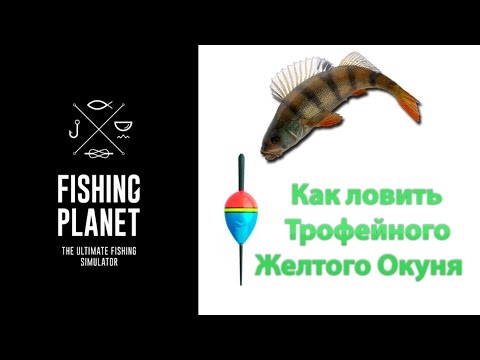 как ловят желтого полосатика как ловят желтого полосатика