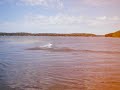 RC boat 51\" shoreline 010