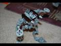 videos de MAKUTA #22 ~ Tricks and Traps
