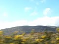 connemara