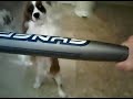 Winston boxes a softball bat