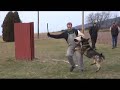 Schutzhund movie montage