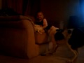 Jazmine playing fetch with Jessie