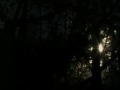 Hockn eye d