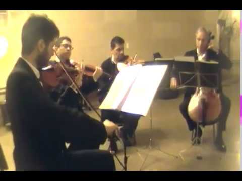Músicos para Ceremonias