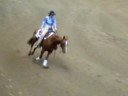 Emelie Lundstr�m Amateur Reining Harvest 2007