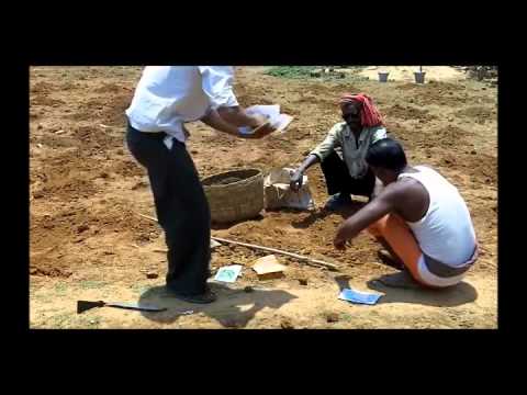 how to fertilize gourds