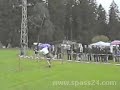 When Cabers Attack